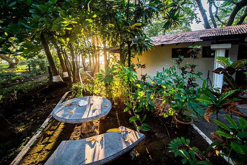 Hotel Hibiscus Cabina 4 Playa Junquillal Zewnętrze zdjęcie