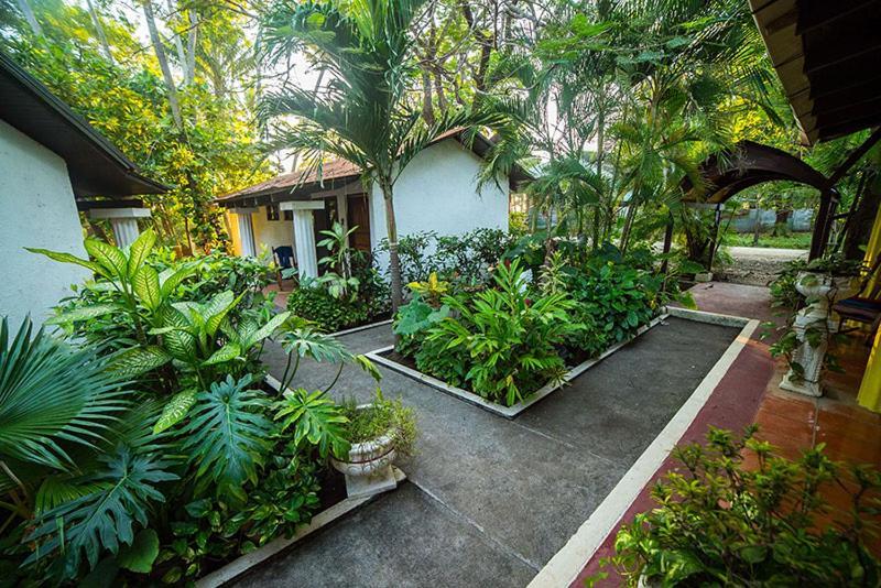 Hotel Hibiscus Cabina 4 Playa Junquillal Zewnętrze zdjęcie